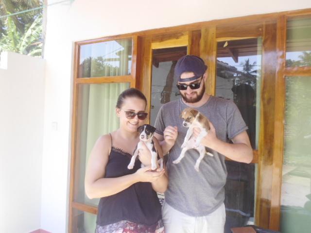 Hotel Hilltop Bungalow Mirissa Esterno foto